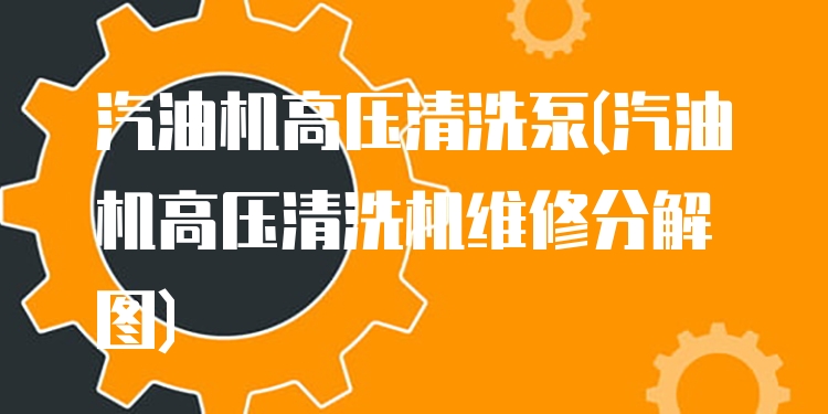 汽油机高压清洗泵